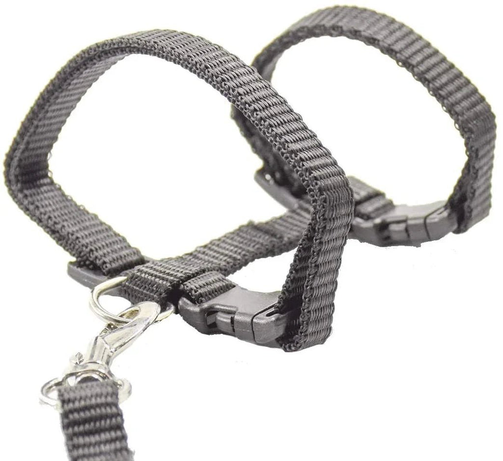 Kitten Cat Harness Leash Set Walking Escape Proof Adjustable Nylon Halter Collar Harness for Cats Puppy Rabbit Pet Accessories - Happy Tails