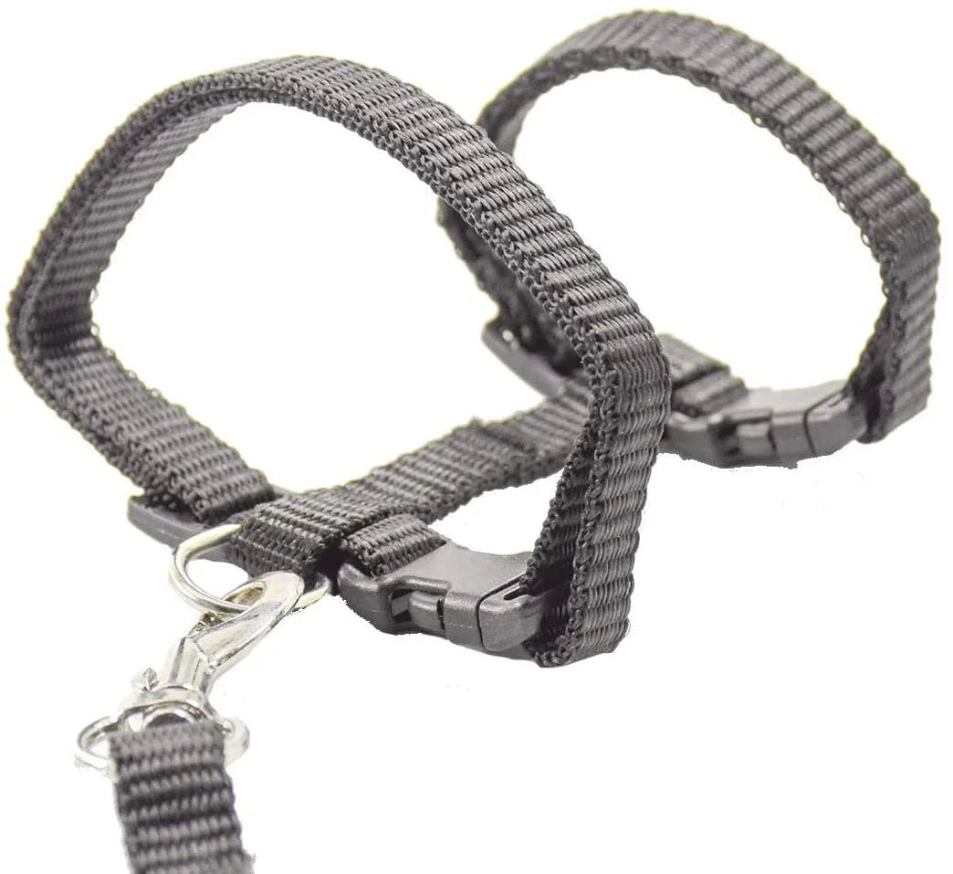 Kitten Cat Harness Leash Set Walking Escape Proof Adjustable Nylon Halter Collar Harness for Cats Puppy Rabbit Pet Accessories - Happy Tails