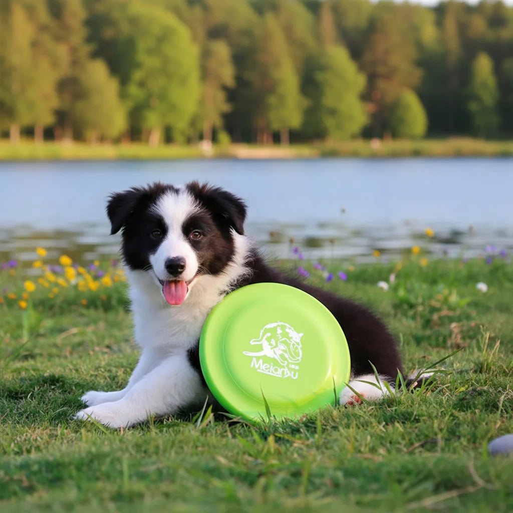 Dog Training Disc - Durable Pet for Puppy & Adult Dog Training, Lightweight Easy - Catch Dog Training Toy, Essential Pet SuppliesHappy TailsHappy Tails