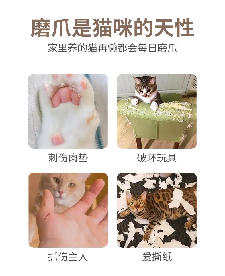 Creative Cat Scratch Boards, Pet Supplies, Stress-relieving, and Corrugated Paper Toys Specifically Designed for Cats - Happy Tails