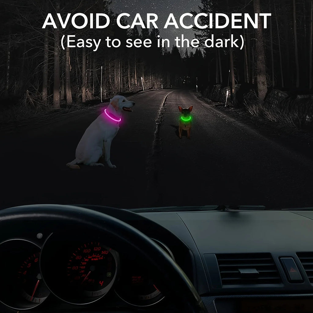 Pet Dog LED Light Collar Luminous Anti-Lost Dog Collar USB Rechargeable Dog Necklace Collar - Happy Tails
