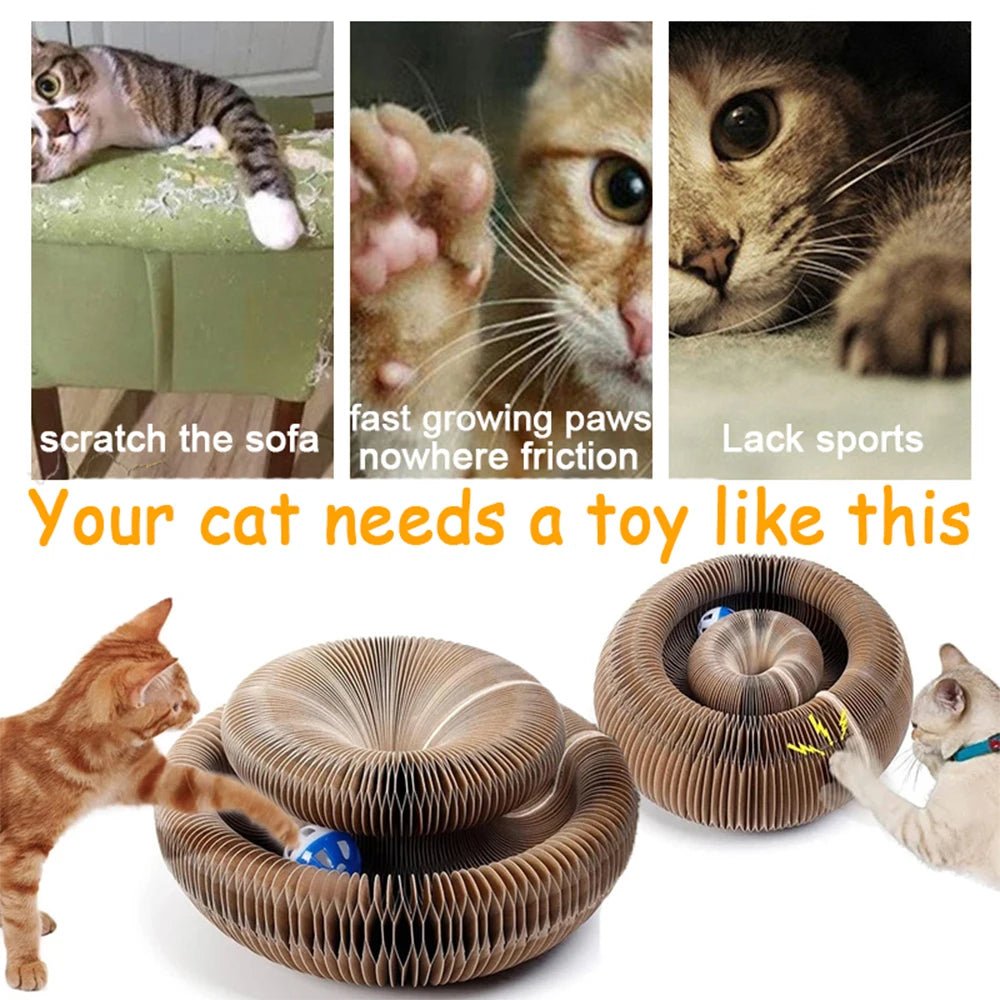 Cat toy,Folding cat scratch board,Bell ball bell pet toy,Cat paw training polishing tool,Toys for cats to entertain themselves. - Happy Tails