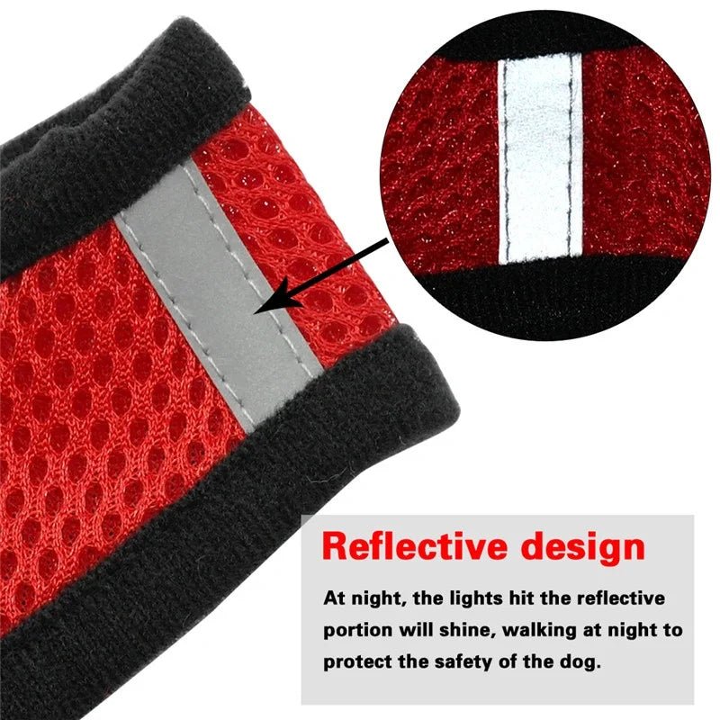 Dog Harness Walking Lead Leash For Small Dogs Collar Polyester Adjustable Mesh Puppy Cat Harness Vest For Medium Pet Accessories - Happy Tails