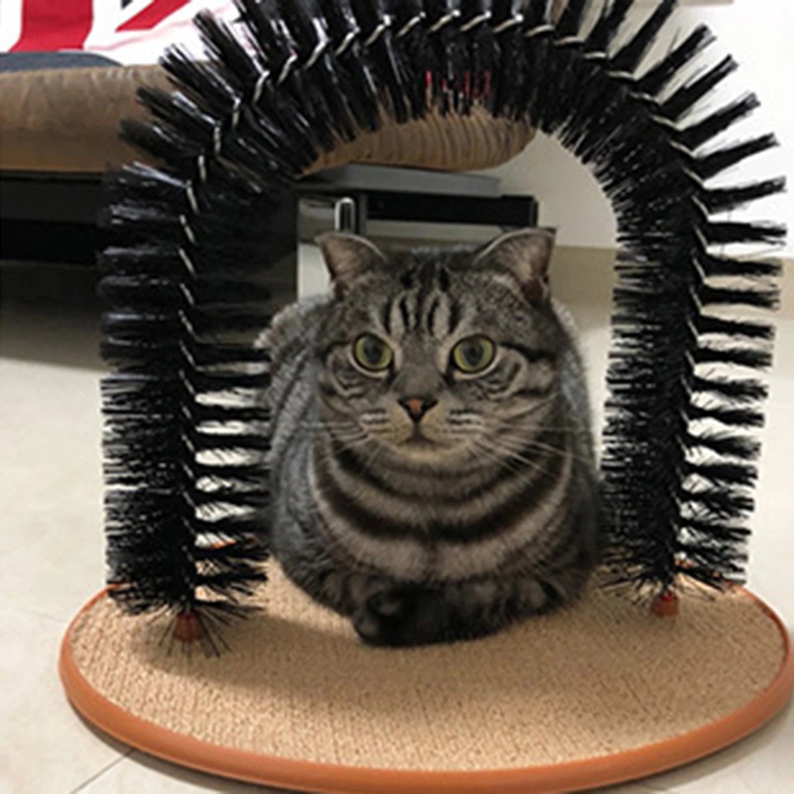 Cat Arch Self Groomer Massager Toy Cat Toys Pet Kitten Scratcher Toys Fur Grooming Cat Brush Shedding With Scratch Pad - Happy Tails