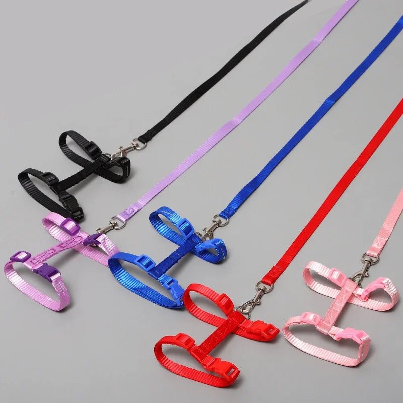 Kitten Cat Harness Leash Set Walking Escape Proof Adjustable Nylon Halter Collar Harness for Cats Puppy Rabbit Pet Accessories - Happy Tails