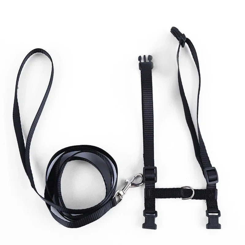 Kitten Cat Harness Leash Set Walking Escape Proof Adjustable Nylon Halter Collar Harness for Cats Puppy Rabbit Pet Accessories - Happy Tails