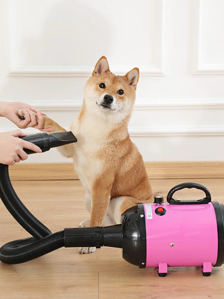 2800W Hair Dryer For Dogs Pet Grooming Supplies Blower Warm Wind Secador Fast Blow - dryer Silent Stepless Speed RegulationHappy TailsHappy Tails
