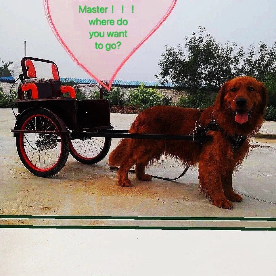 Dog Harness For Large Dog,Pit Bull Dog Harness Large Dog Collar Wholesale Leash Dog Vest Collar Fashion Pet Products Accessories - Happy Tails