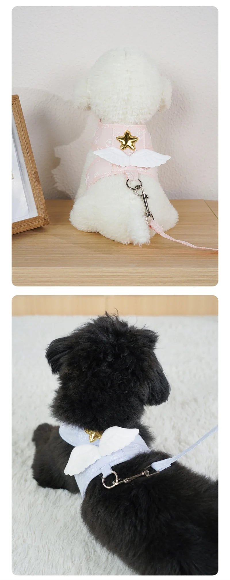 Cat Dog Harness Necklace Leash Collar Pet Items Accessories Kawaii Angel Wing Vest Harness For Dogs Cats Personalized Supplies - Happy Tails