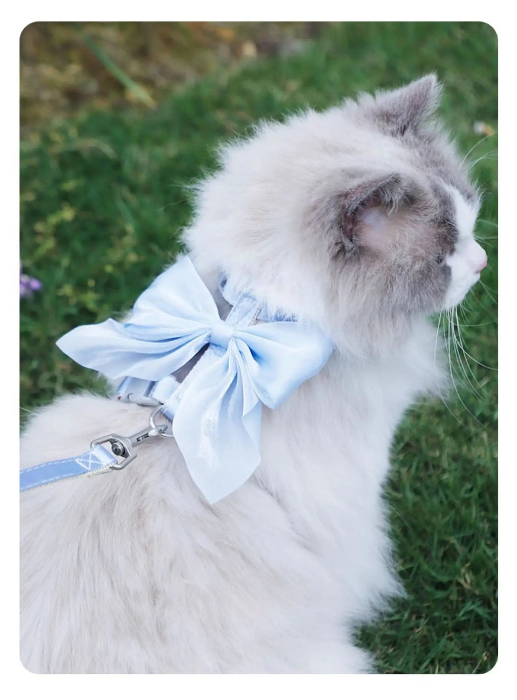 Adjustable Pet Harness with Traction Rope for Small AnimalsHappy TailsHappy Tails