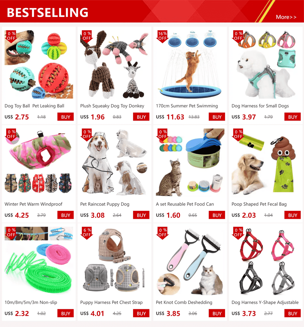 Dog Harness for Small Dogs Adjustable Puppy Cat Harness Vest French Bulldog Chihuahua Pug Pet Outdoor Walking Collar Leash Set - Happy Tails