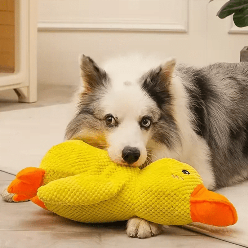 Dog sleeping with a dog hug duck toys to relieve boredom of little yellow duck pet interactive plush doll pet supplies - Happy Tails
