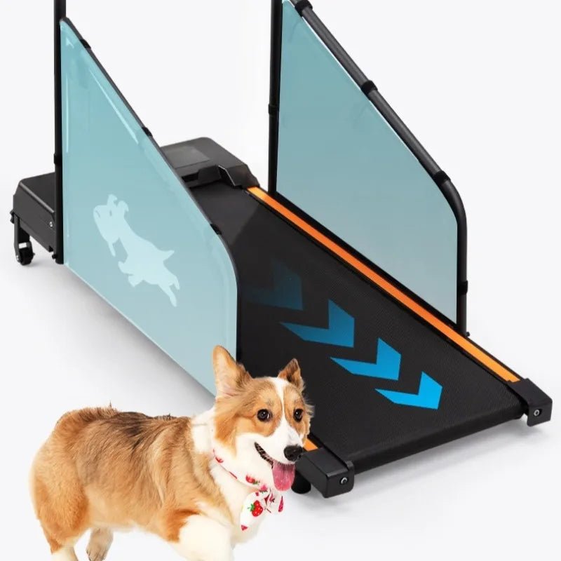 Pet Treadmill Trainer Intelligent Display Dog Running Adjustable Dog Walking Machine Non - slip Pet Trainings Supplies ProductsHappy TailsHappy Tails