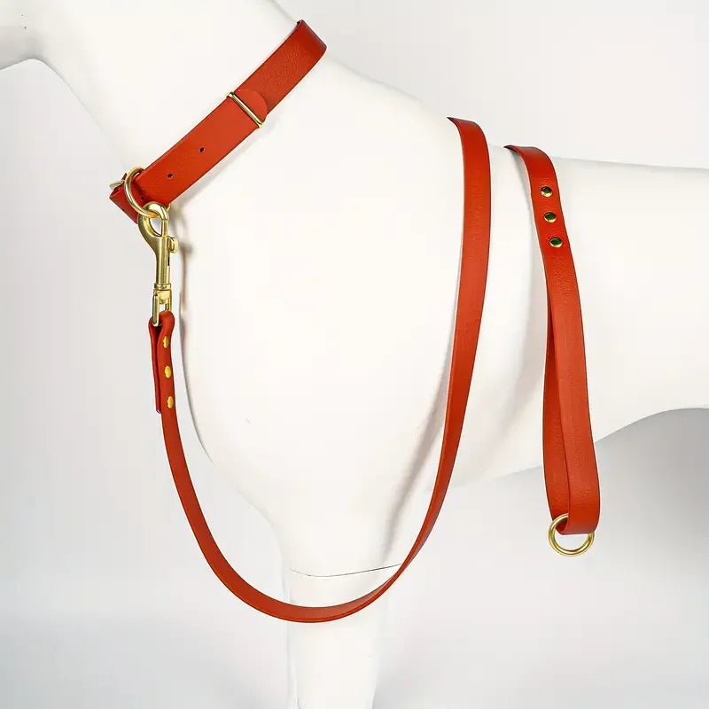 Dog Leash for Small Medium Large Dogs Walking,Easy to Use, Lightweight & Durable,Training Leash for Control Safety Training - Happy Tails