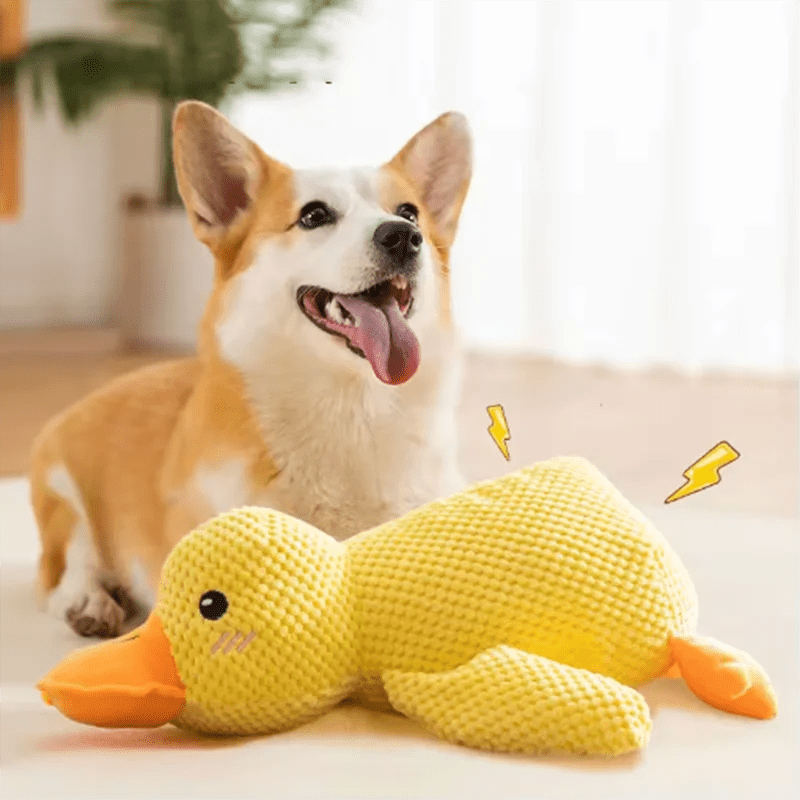 Dog sleeping with a dog hug duck toys to relieve boredom of little yellow duck pet interactive plush doll pet supplies - Happy Tails