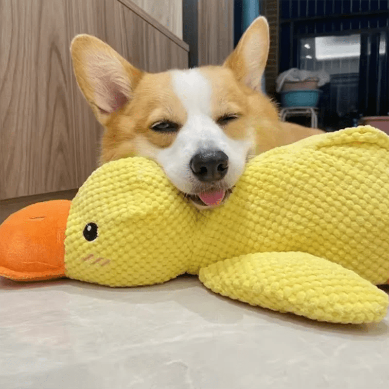 Dog sleeping with a dog hug duck toys to relieve boredom of little yellow duck pet interactive plush doll pet supplies - Happy Tails