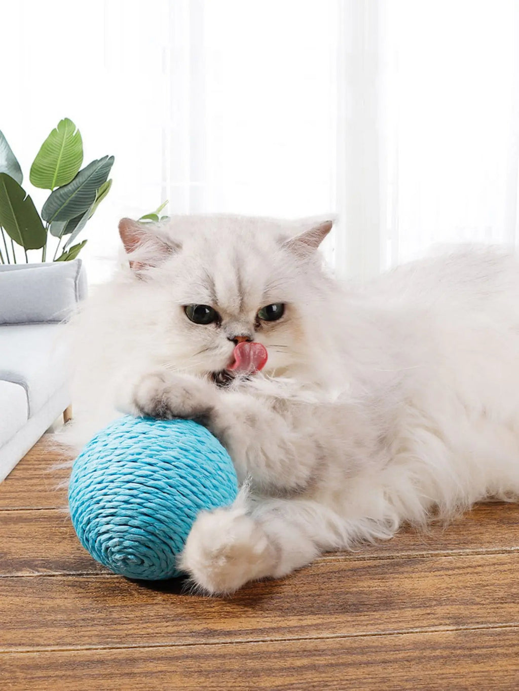 10CM Interactive Sisal Cat Scratching Ball Toy For Kitten Teeth Cleaning Anti Bite Cat Ball Sounding Toy Pet Supplies - Happy Tails