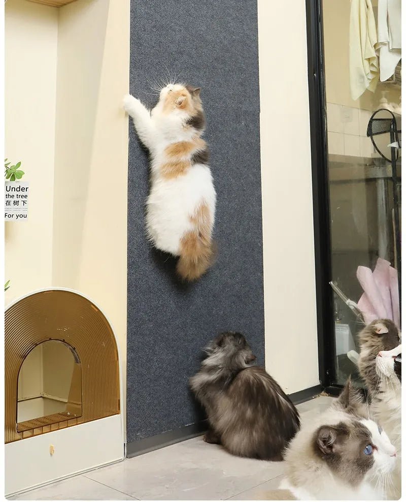 Cats Scratching Post Offers Wear Resistant Scraper Pad Climbing Stickers Scratcher Board Stick Wall Floor Cat Toys Accessories - Happy Tails