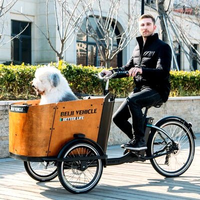Electric Cargo Bike For Take Dog StrollHappy TailsHappy Tails