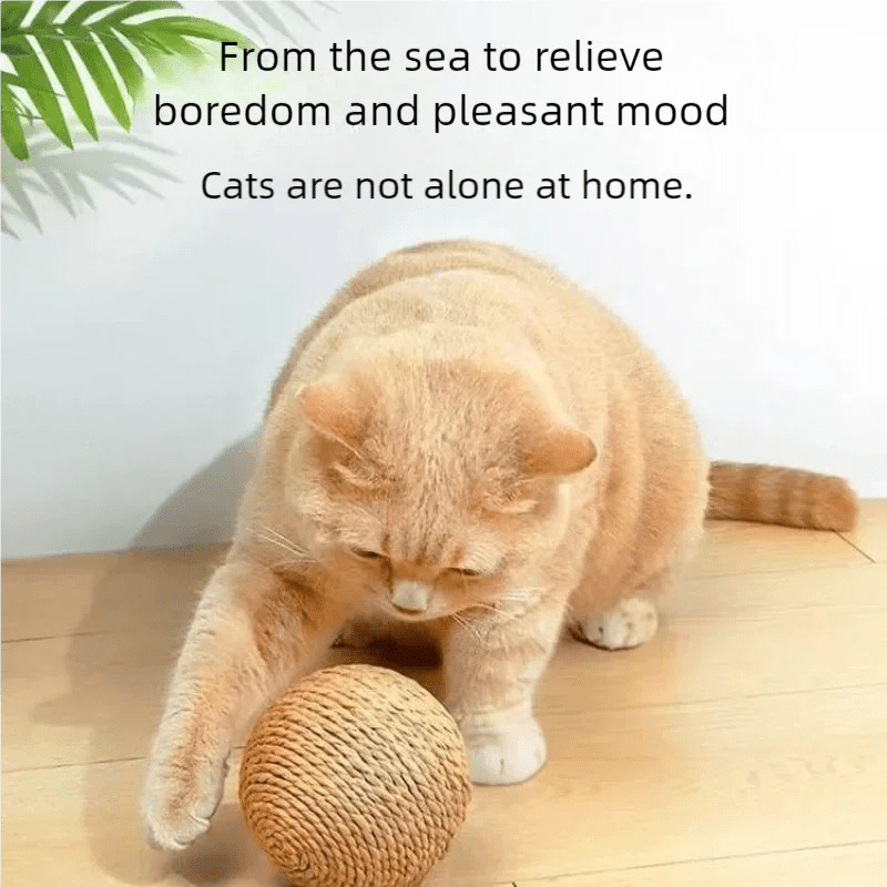 8cm Cat Scratching Ball Interactive Cat Toys Bite Resistant Kitten Chasing Ball Pet Sounding Toys for Cats with Cat AccessoriesHappy TailsHappy Tails