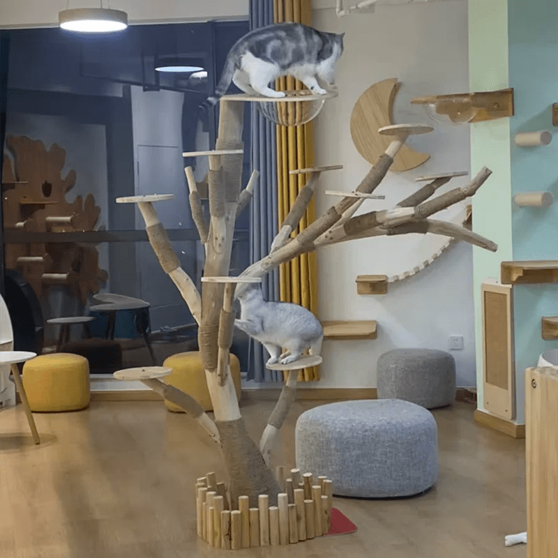 Cat Climbing Cat Nest Cat Tree Scratching Post Twine Solid Wood Pet Products Supplies Scratchers Furniture Multi - Level PlushHappy TailsHappy Tails