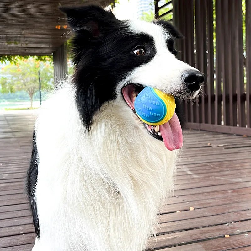 Dogs Interactive Toys Soft TPR Toys for Dog Pet Teeth Cleaning Bite Resistance Squeaky Dog Ball ToyHappy TailsHappy Tails