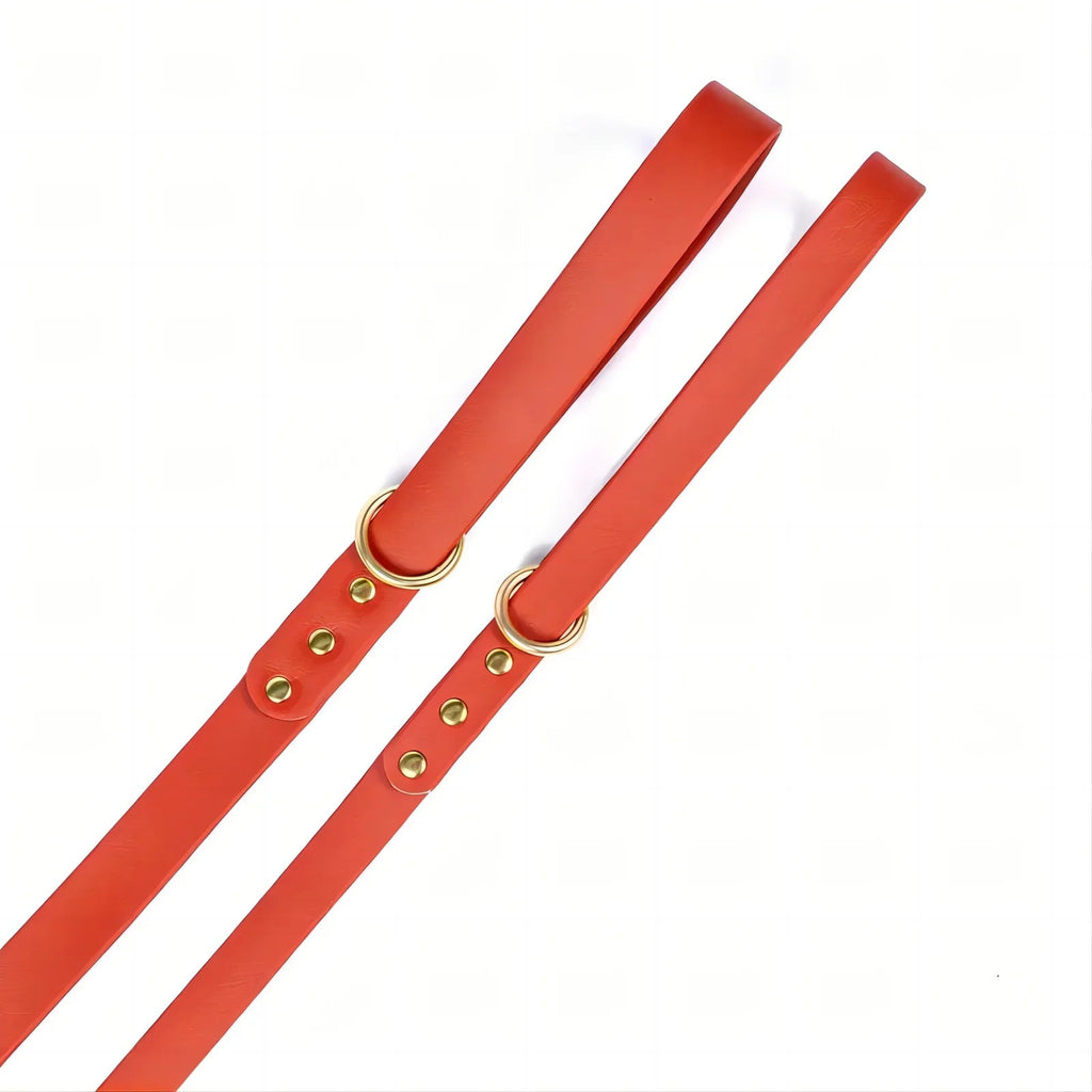 Dog Leash for Small Medium Large Dogs Walking,Easy to Use, Lightweight & Durable,Training Leash for Control Safety Training - Happy Tails