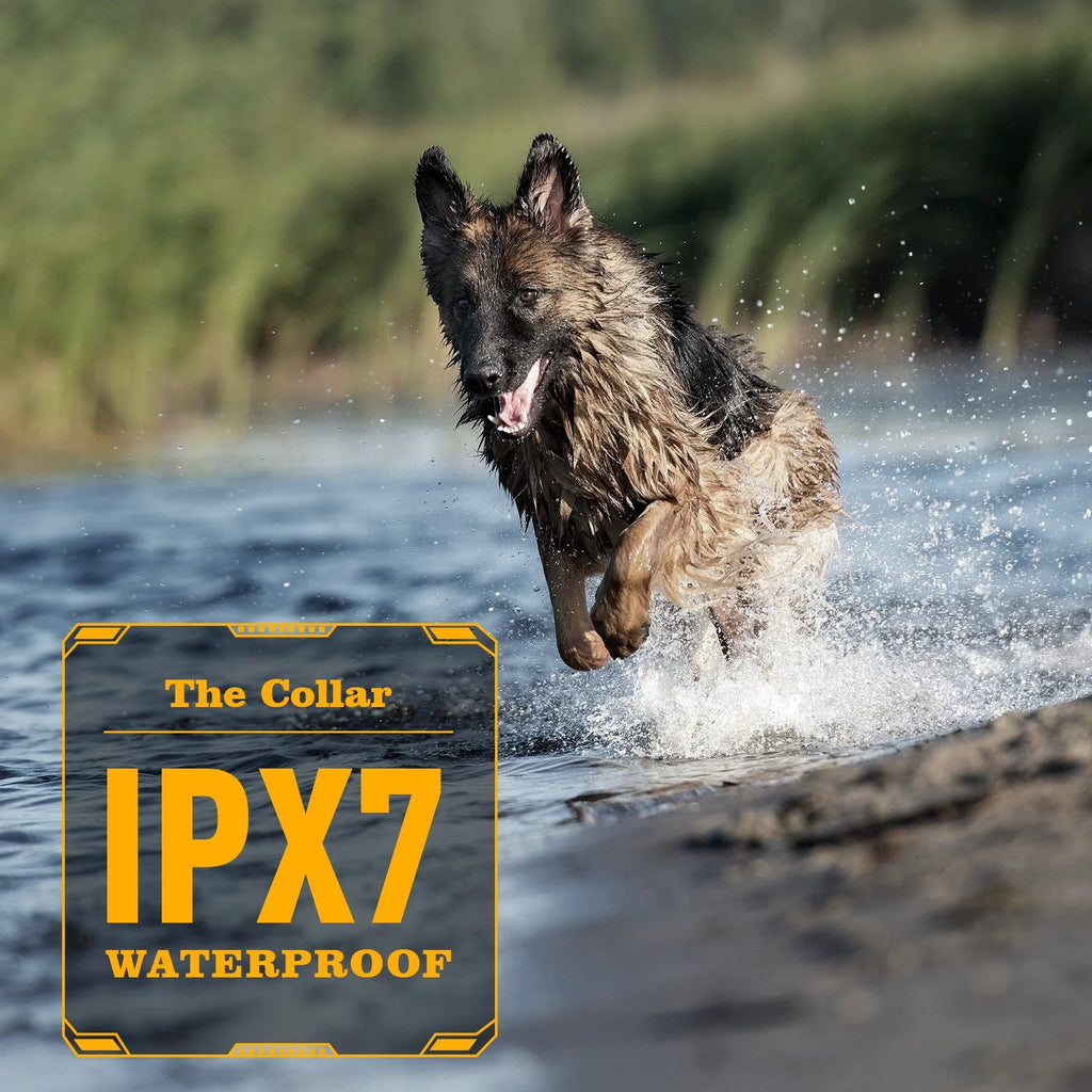 ABBIDOT T - WORKS Electric Shock Collar for Large Dog Training Collar 3/4 Mile Range No Bark Waterproof Rechargeable 920 StrapHappy TailsHappy Tails