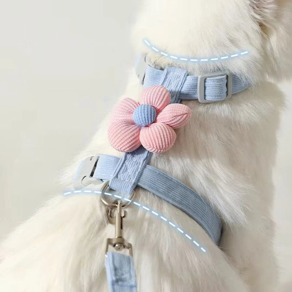 Cat Harness and Leash Sets Adjustable Dog Harness for Small Dog Leash Breashable Pet Harness Out Walking Dog Strap Cat Accessory - Happy Tails