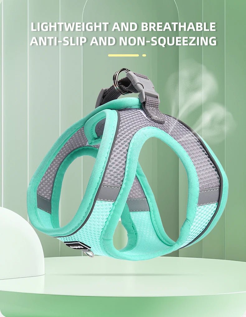 Dog Harness for Small Dogs Adjustable Puppy Cat Harness Vest French Bulldog Chihuahua Pug Pet Outdoor Walking Collar Leash Set - Happy Tails