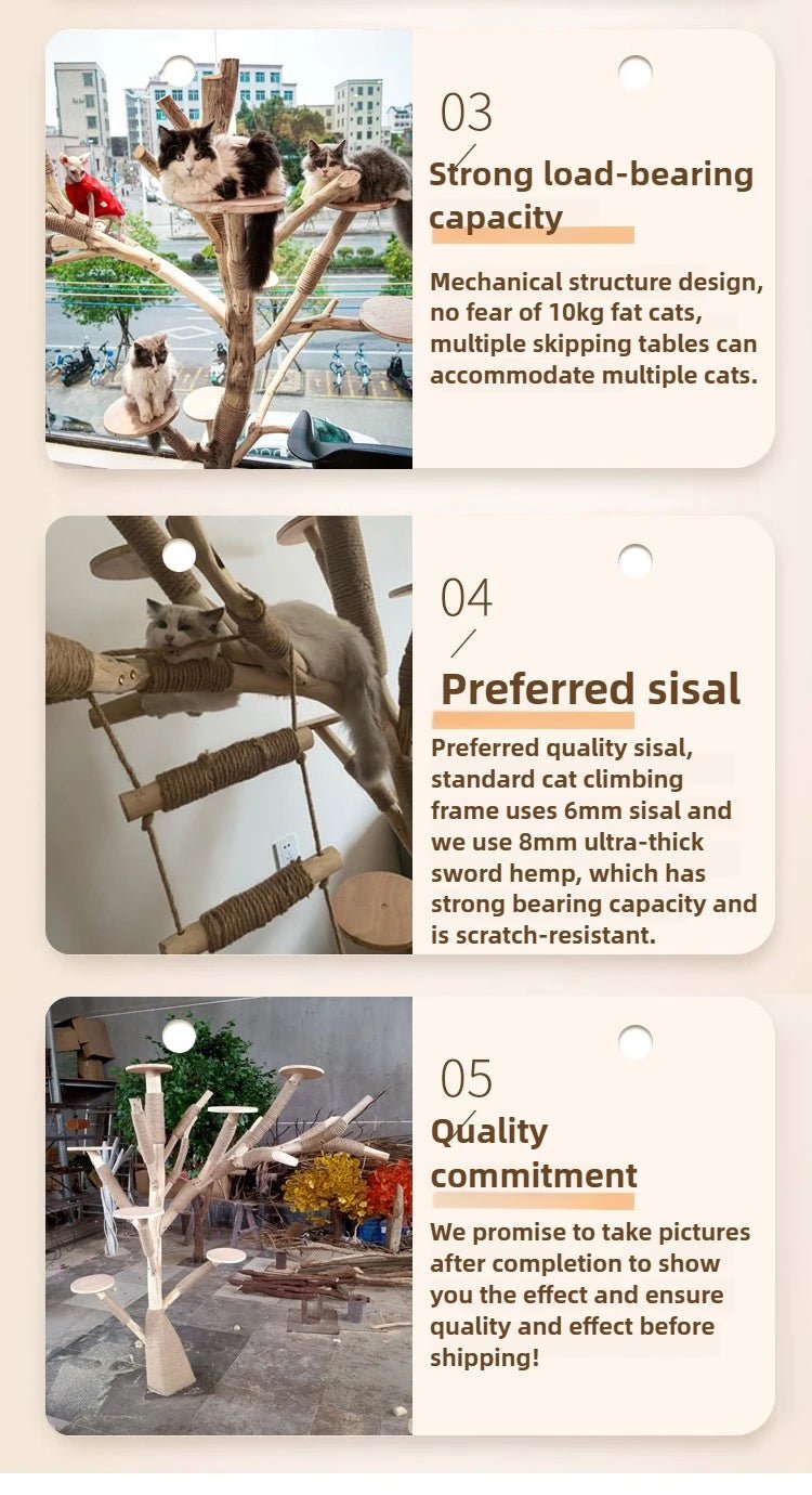 Cat Climbing Frame Sisal Scratches and Wear-resistant Cast Nest Tree Cat Scratching Post Strong Bearing Capacity Pet Products - Happy Tails