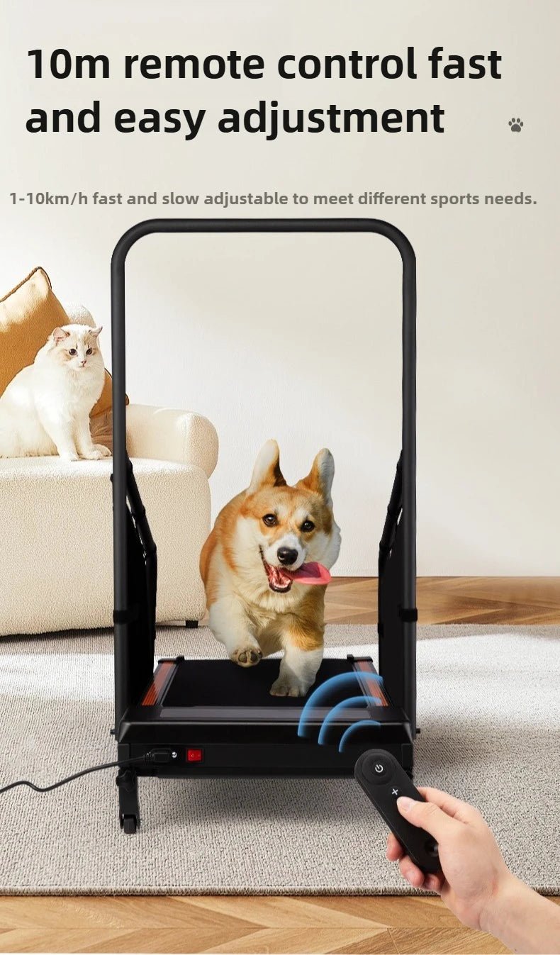 Pet Treadmill Trainer Intelligent Display Dog Running Adjustable Dog Walking Machine Non - slip Pet Trainings Supplies ProductsHappy TailsHappy Tails