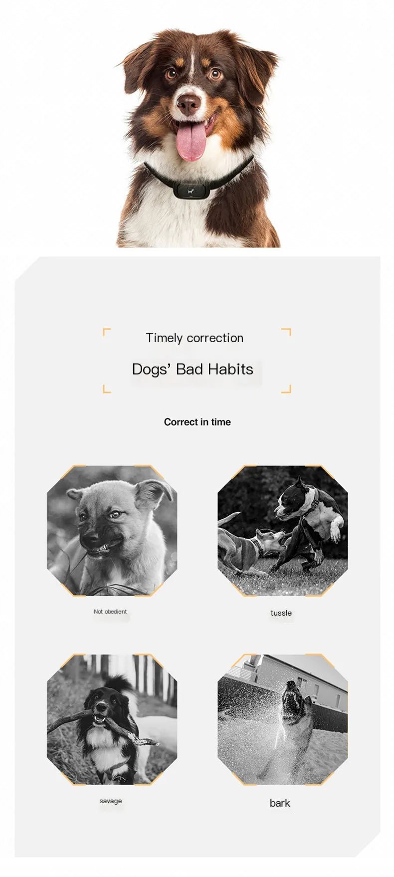 Dog training device remote control barking device pet dog trainer electric shock collar pet supplies waterproofHappy TailsHappy Tails