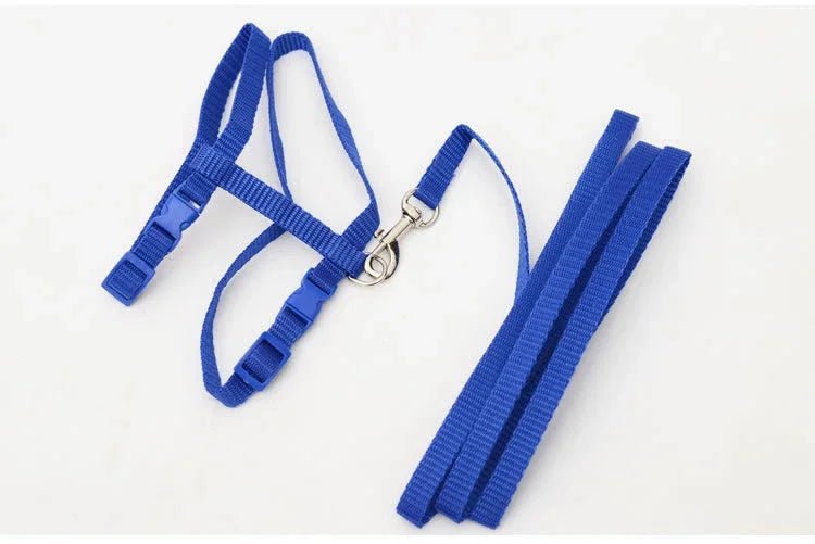 Kitten Cat Harness Leash Set Walking Escape Proof Adjustable Nylon Halter Collar Harness for Cats Puppy Rabbit Pet Accessories - Happy Tails