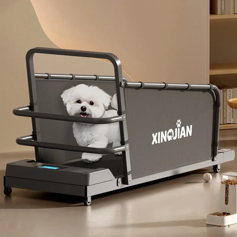 Dog treadmill, large, medium, small, dog, cat, universal animal, home use, sports training, walking machine, petHappy TailsHappy Tails