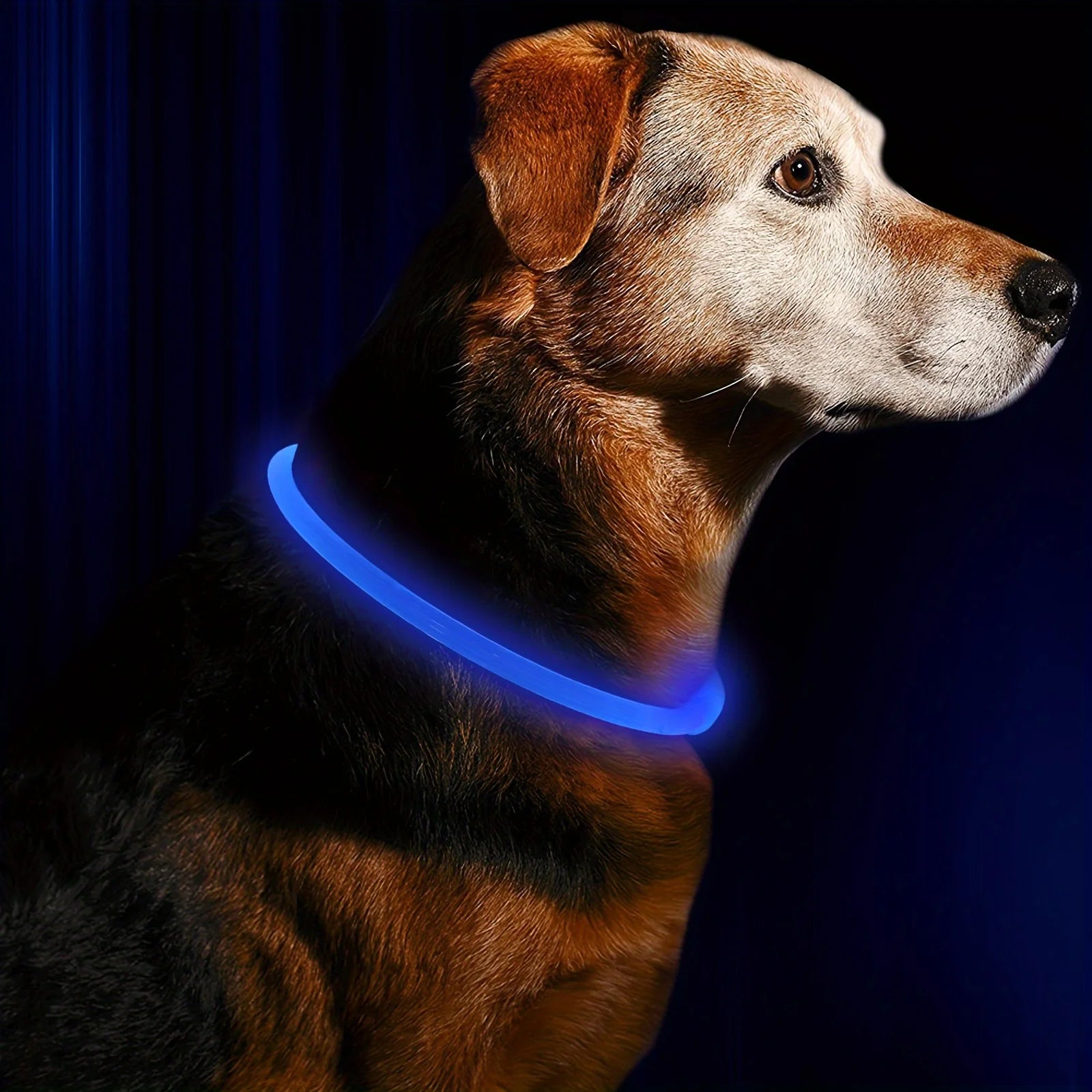 Pet Dog LED Light Collar Luminous Anti - Lost Dog Collar USB Rechargeable Dog Necklace CollarHappy TailsHappy Tails