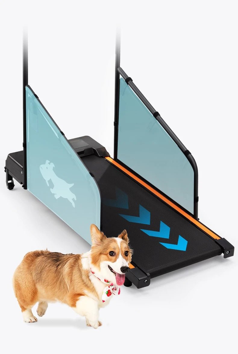 Pet Treadmill Trainer Intelligent Display Dog Running Adjustable Dog Walking Machine Non - slip Pet Trainings Supplies ProductsHappy TailsHappy Tails