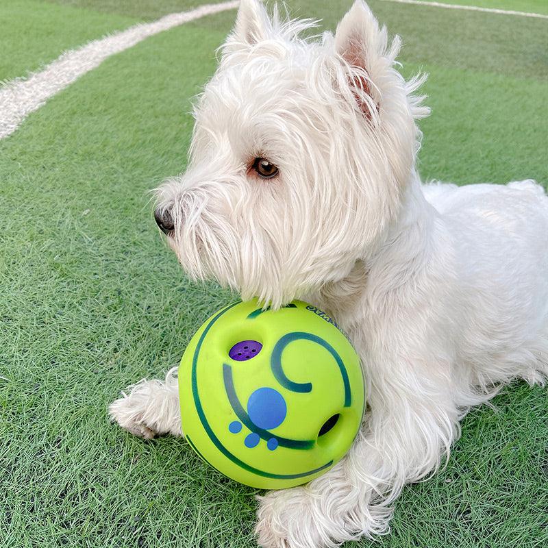 Lovely Paw Interactive Dog Football ToyDog ToysDog Hugs CatHappy Tails