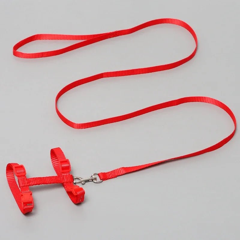 Kitten Cat Harness Leash Set Walking Escape Proof Adjustable Nylon Halter Collar Harness for Cats Puppy Rabbit Pet Accessories - Happy Tails