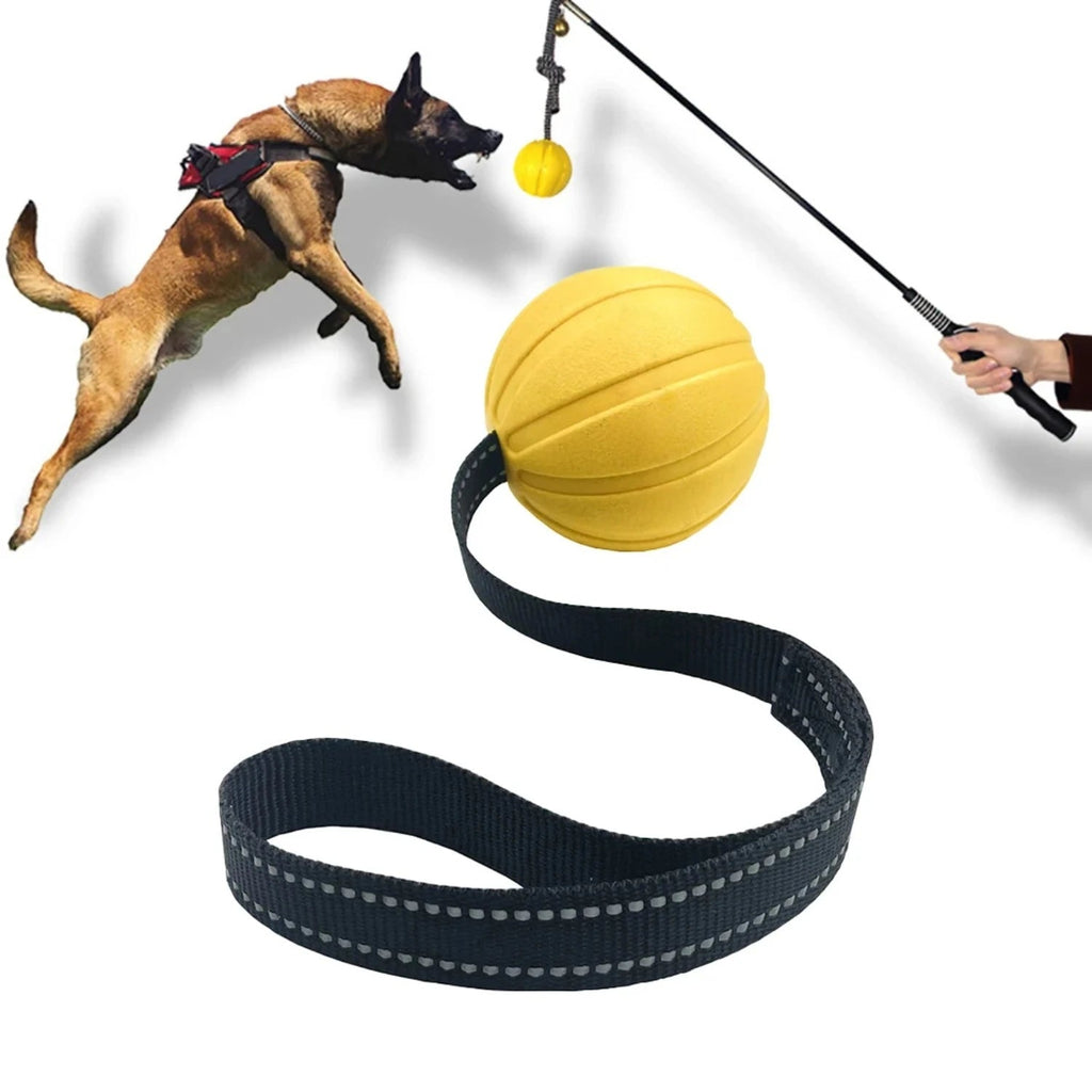 Dog Toy Balls On a Rope for Small Medium Large Dogs Chewers  Durable Interactive Ball for Training Dogs EVA Foam Ball Floats - Happy Tails