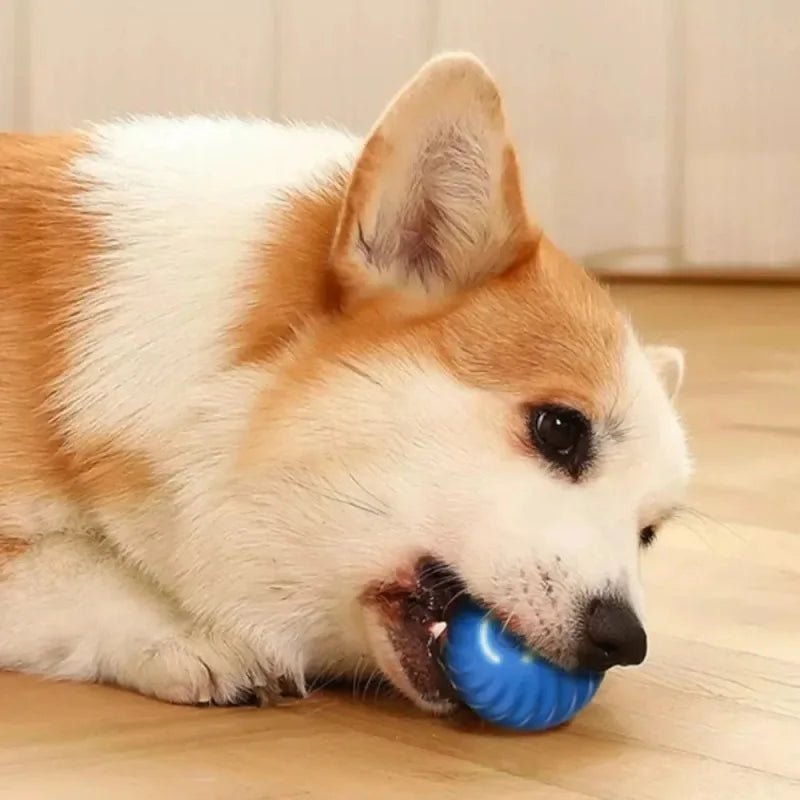 Dog Toy Ball Automatic Moving Bouncing Rolling Ball USB Smart puppy Interactive Dog Chew Toy Ball - Happy Tails