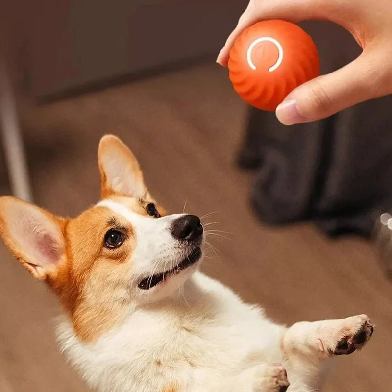 Dog Toy Ball Automatic Moving Bouncing Rolling Ball USB Smart puppy Interactive Dog Chew Toy Ball - Happy Tails