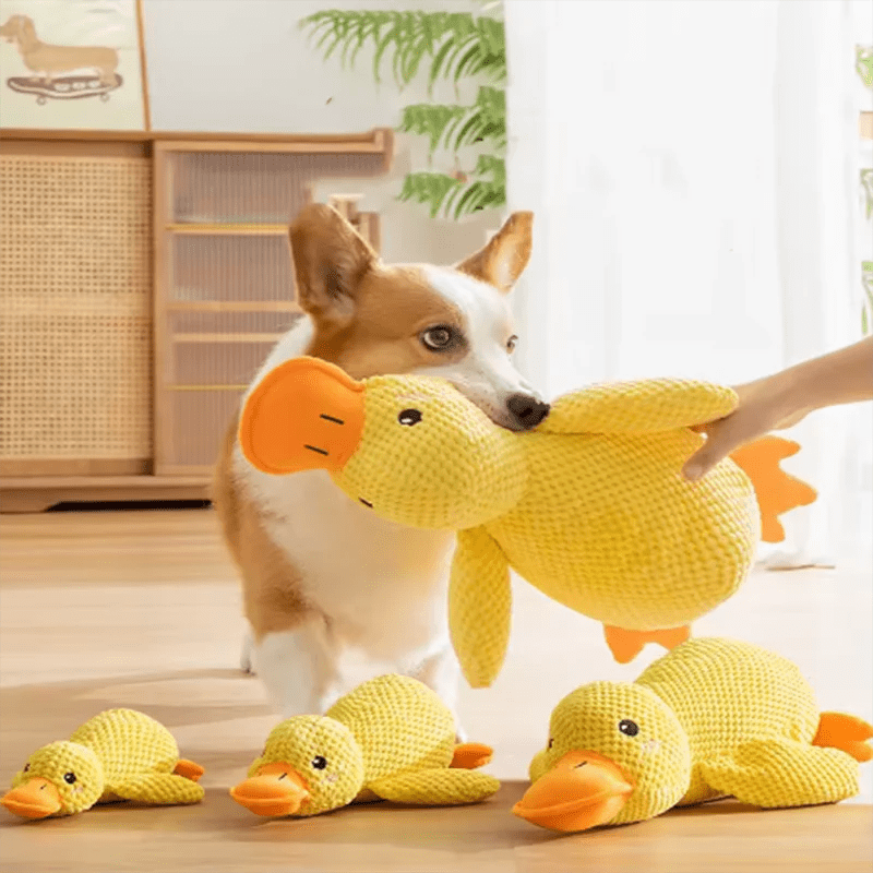 Dog sleeping with a dog hug duck toys to relieve boredom of little yellow duck pet interactive plush doll pet supplies - Happy Tails