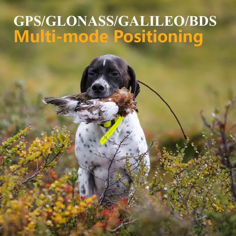 Portable GPS Wireless Dog Fence System Electric Satellite Global Positioning Dog Containment System For Medium And Large DogsHappy TailsHappy Tails