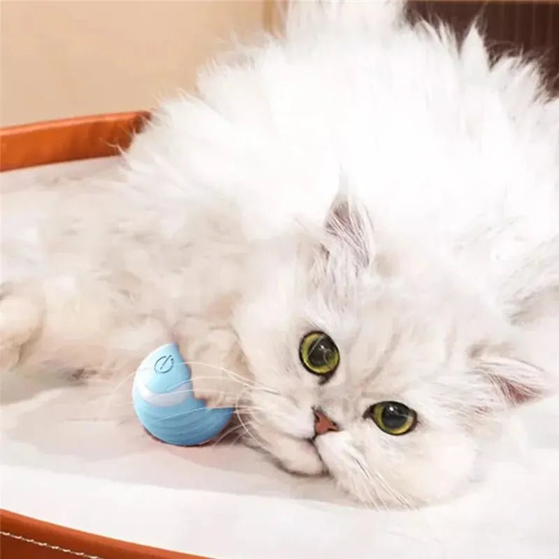 Self-moving Electric Cat Ball Toy for Active KittensHappy TailsHappy Tails