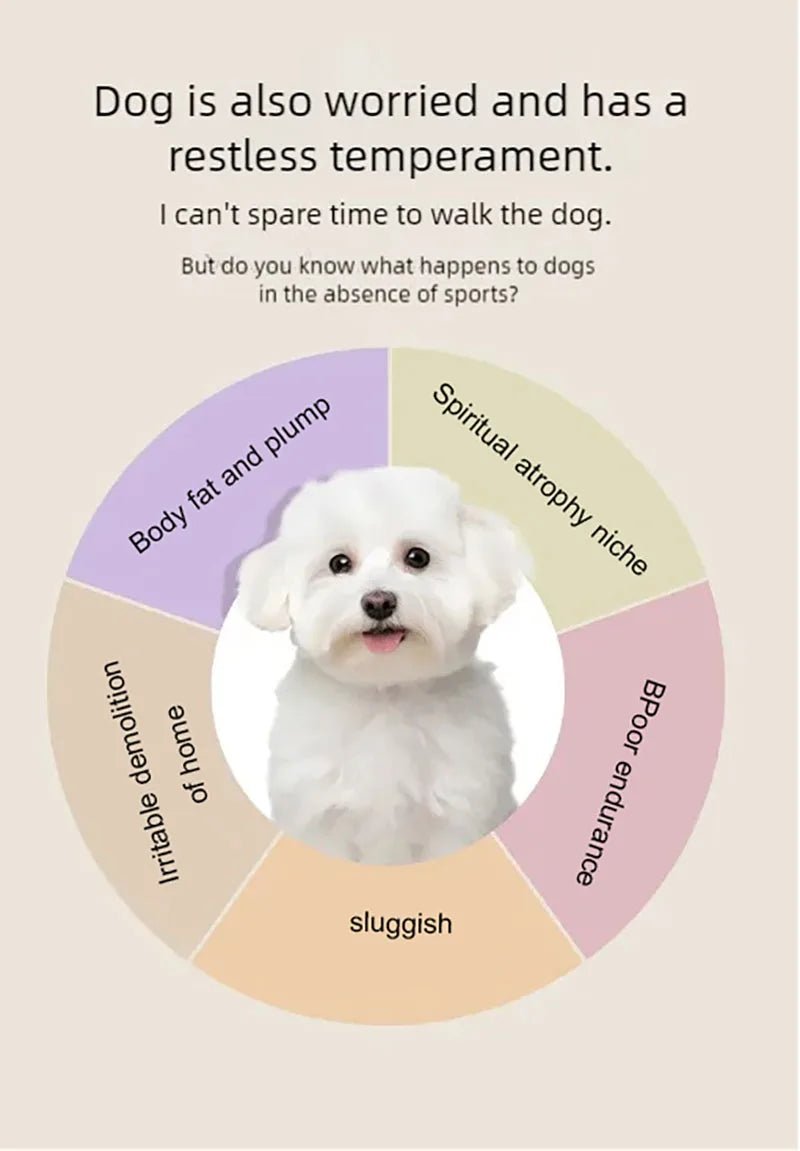 Dog treadmill, large, medium, small, dog, cat, universal animal, home use, sports training, walking machine, petHappy TailsHappy Tails