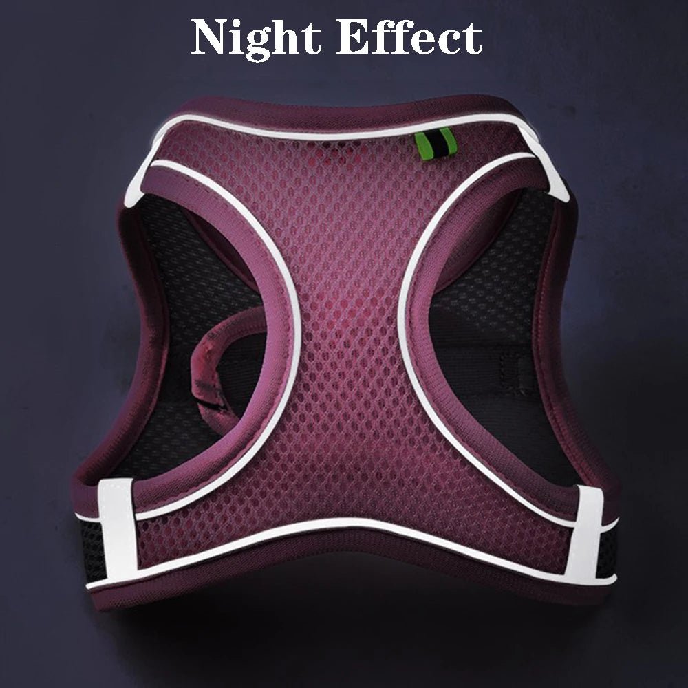 Cat Dog Harness Vest Chest Rope Set Reflective Breathable Adjustable Pet Harness for Small Medium Dogs Outdoor Walking - Happy Tails