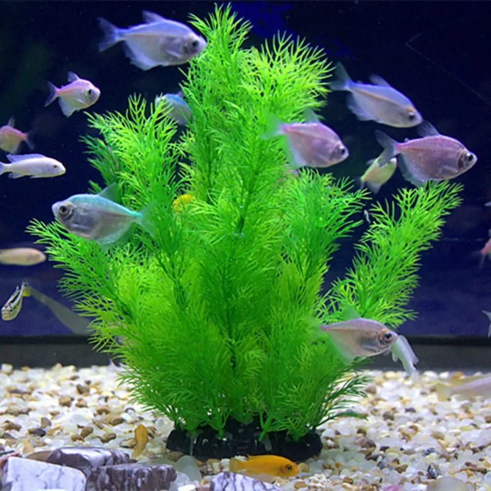 Aquarium Plants Ornaments Plastic Simulation Artificial Water Grass Fish Tank Decoration AccessoriesHappy TailsHappy Tails