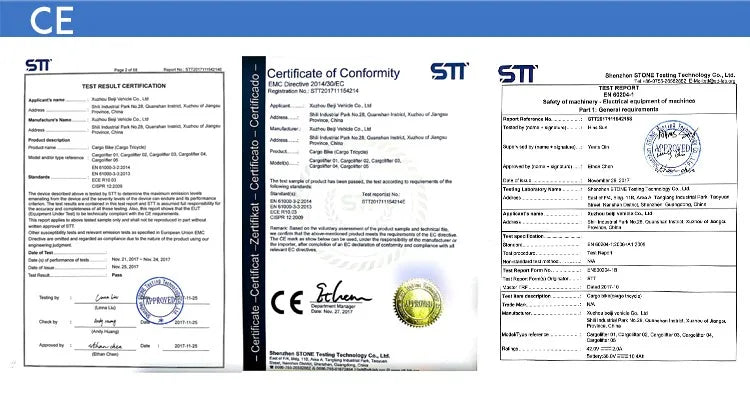 Electric Cargo Bike For Take Dog StrollHappy TailsHappy Tails