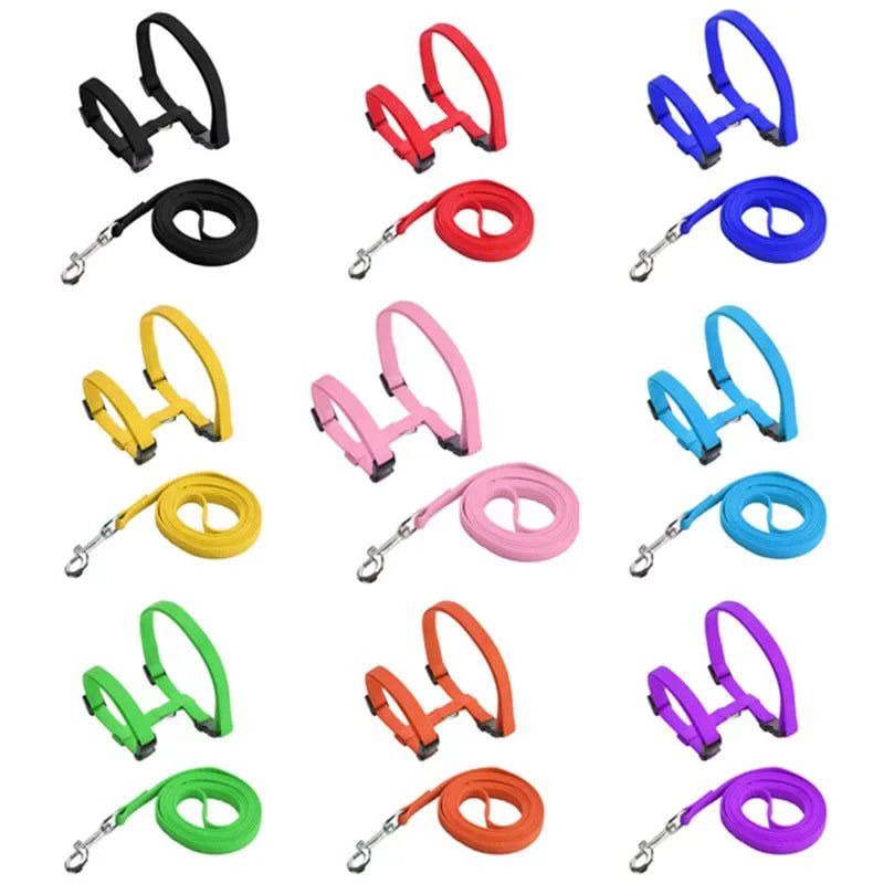 Kitten Cat Harness Leash Set Walking Escape Proof Adjustable Nylon Halter Collar Harness for Cats Puppy Rabbit Pet Accessories - Happy Tails